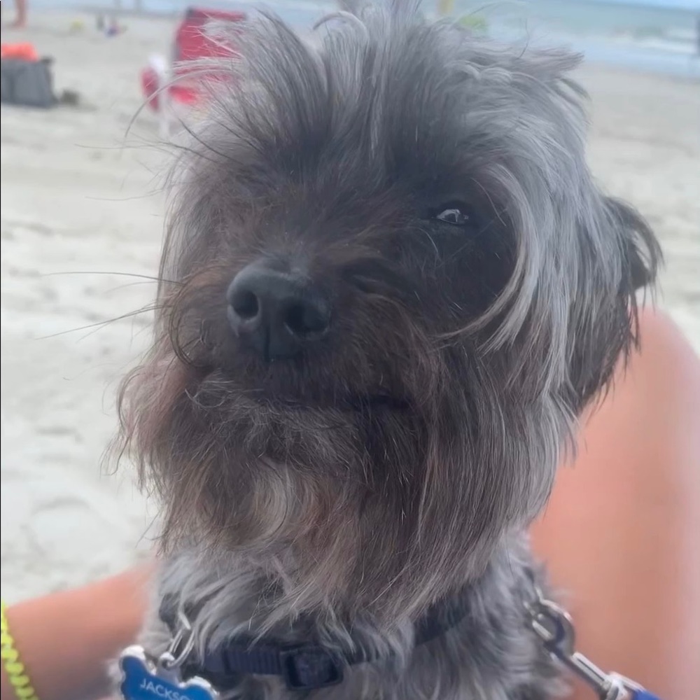 Meet your Posher, Alexis